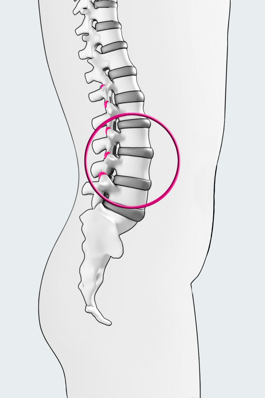 lumbar spine joints